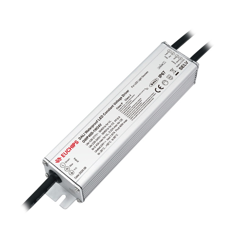 OWP40D-1W24V